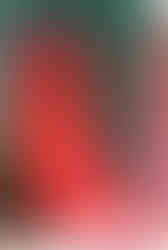 Acrylic on paper, approx. 297×420 mm
