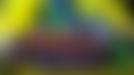 Netherlands XI overcome the English to win the 2nd edition of the Dream11 European Cricket Championship