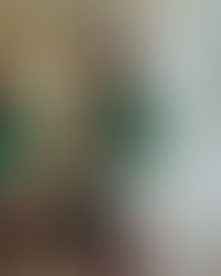 Хейлі Бібер в новій рекламній кампанії Saint Laurent