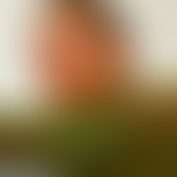 KAREENA представила первый сольный трек "Ментос и Кола"