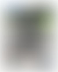 Must Follow: Елена Рева