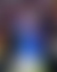 На матчі Португалія – Уругвай вболівальник вибіг на поле із надписом «Save Ukraine» 