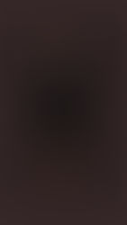 Річ дня: тренч від Bevza