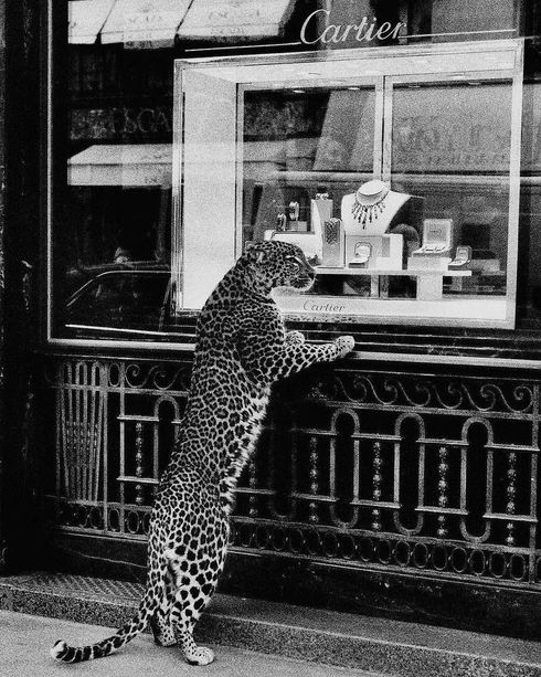 Рекламна кампанія Cartier, 1950 рік