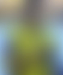 Андрій Шевченко прийме біженців України у власному домі 