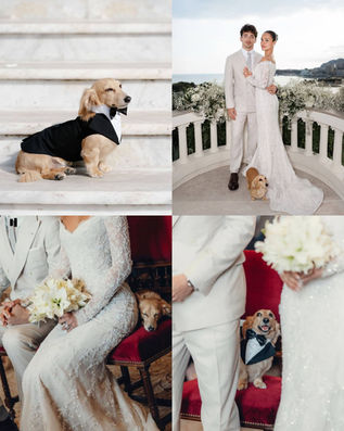 Песик Лео став головним гостем весілля Шарля Леклера та Олександри Сен-Мле