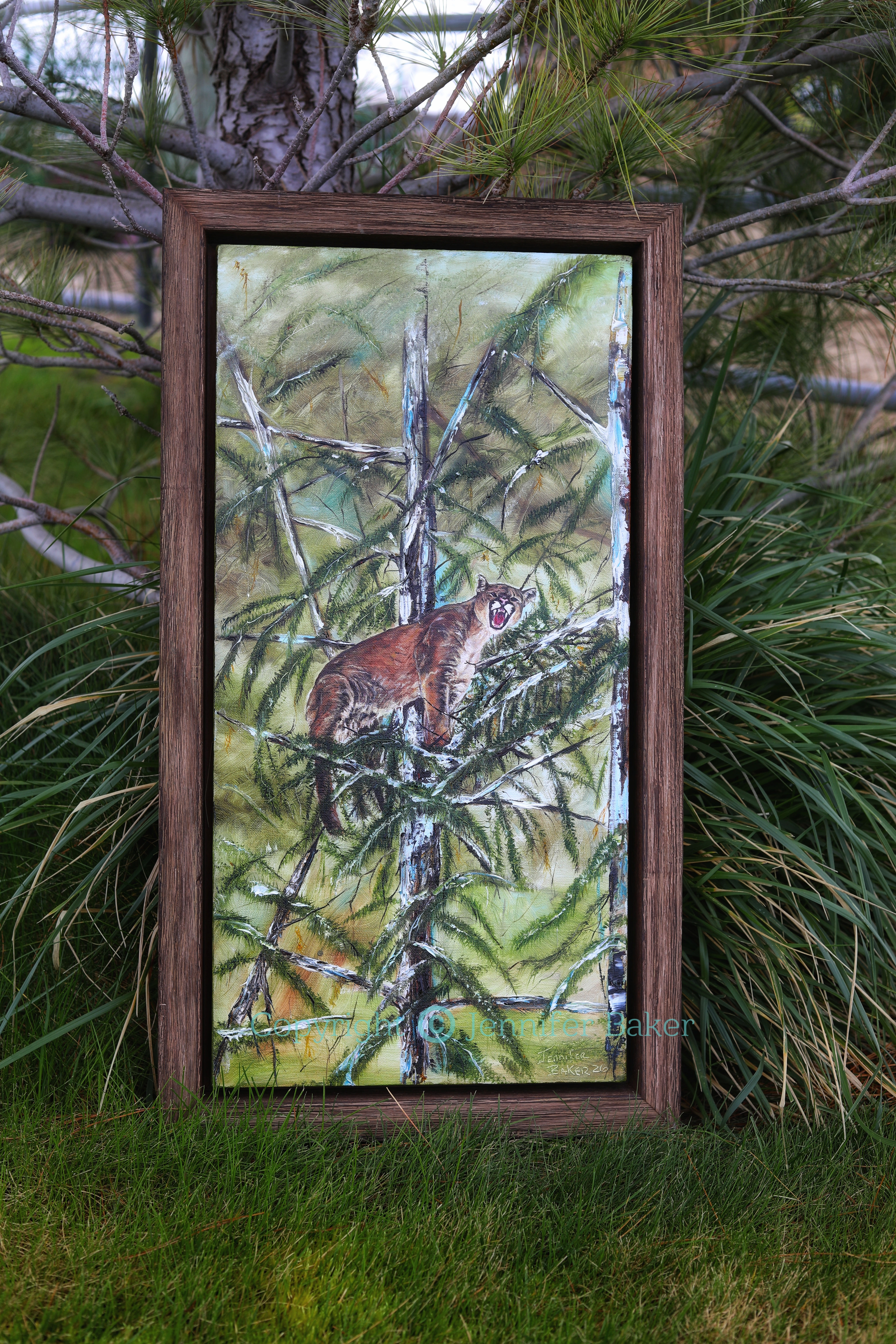 "Mountain Lion" Original Oil On Stretched Linen Canvas • 12"×24" Framed