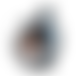 Osteopathie bei Rückenschmerzen und Nackenschmerzen: Ein ganzheitlicher Ansatz zur Linderung und Heilung 