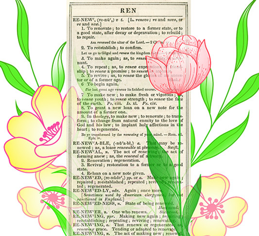 Renew_Art_2.jpg