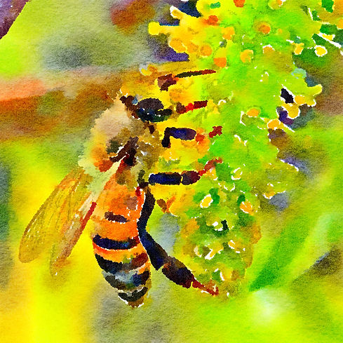 Waterlogue - Copy (134).jpg