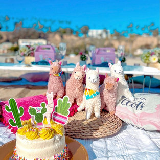 Llama Themed Party