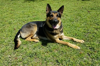 20190410_133832.jpg