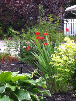 Feuillage et Textures