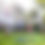 Thumbnail: KIKUYU TURF