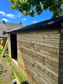 Wooden shed in sunny garden