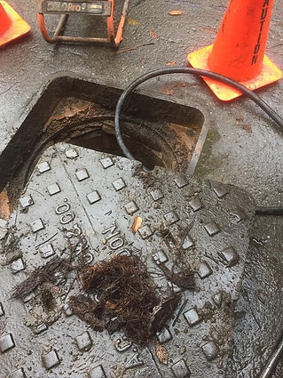 A sewer drain cover surrounded by orange traffic cones, with debris including hair and other organic material visible around the opening