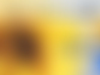 【8/6(水)20~21時】セルフ・コンパッション瞑想タイム【オンラインで毎月開催】