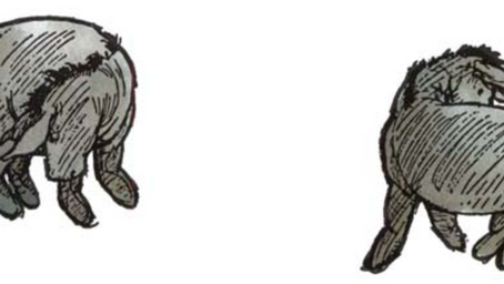 Eeyore has no tail
