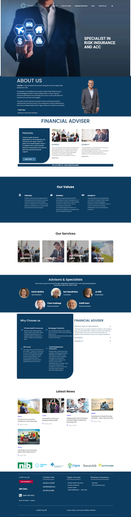 WebTigers Website Portfolio 