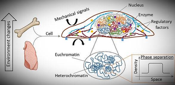 Schematic_for_website_edited.jpg