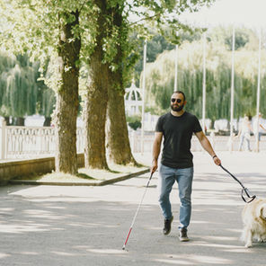 Adestrador De Cães-guia