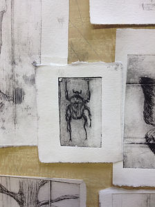 2016-09-29 16.56.15.jpg