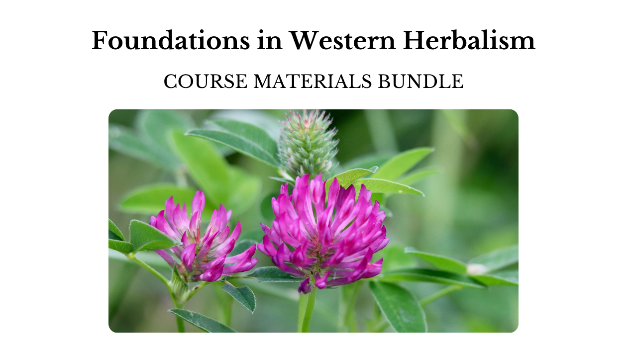 BUNDLE-Foundations Program