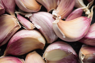 Garlic red_PX.jpg