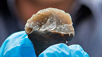 Birch Tar Neaderthal tool.jpg