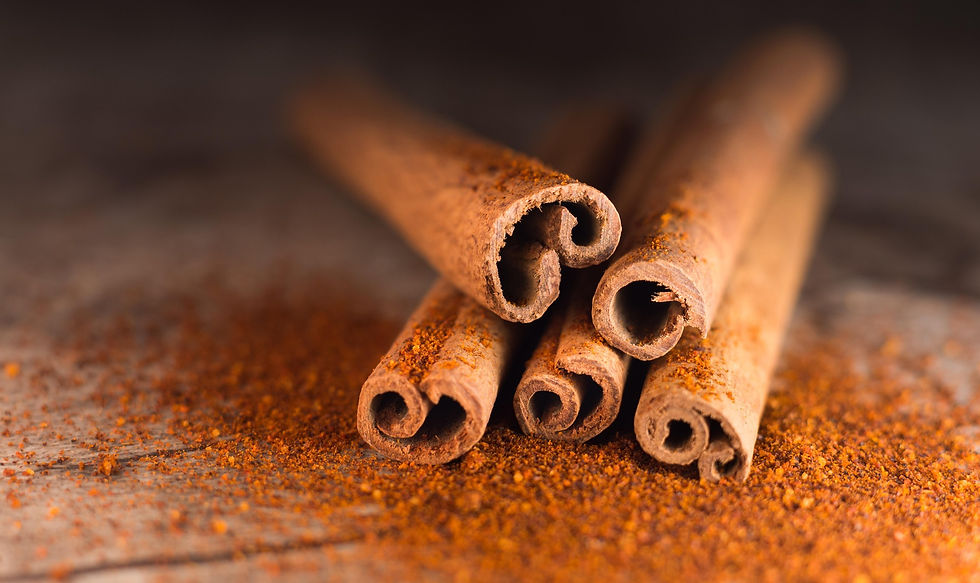 Cinnamon spice Cinnamomum verum Ceylon cinnamon