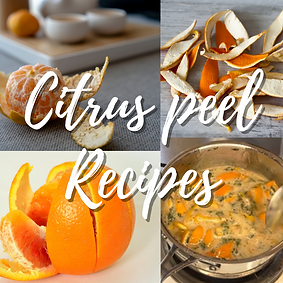 Citrus Peel Recipes.png