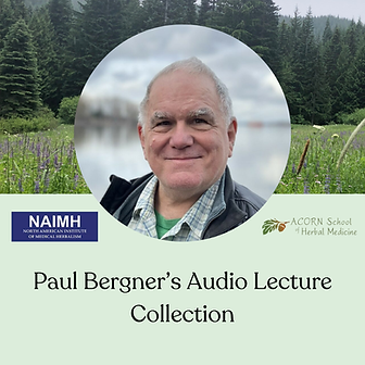 Paul's Audios website image.png