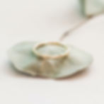 Gold hammered ring on leaf