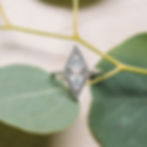 Diamond marquise ring on leaves