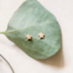 Gold star earrings on eucalyptus leaf