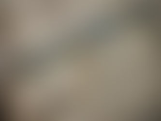 Resurrection of HK21-A1