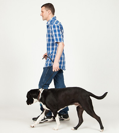 Mark K9 College Dog Trainer00010.jpg