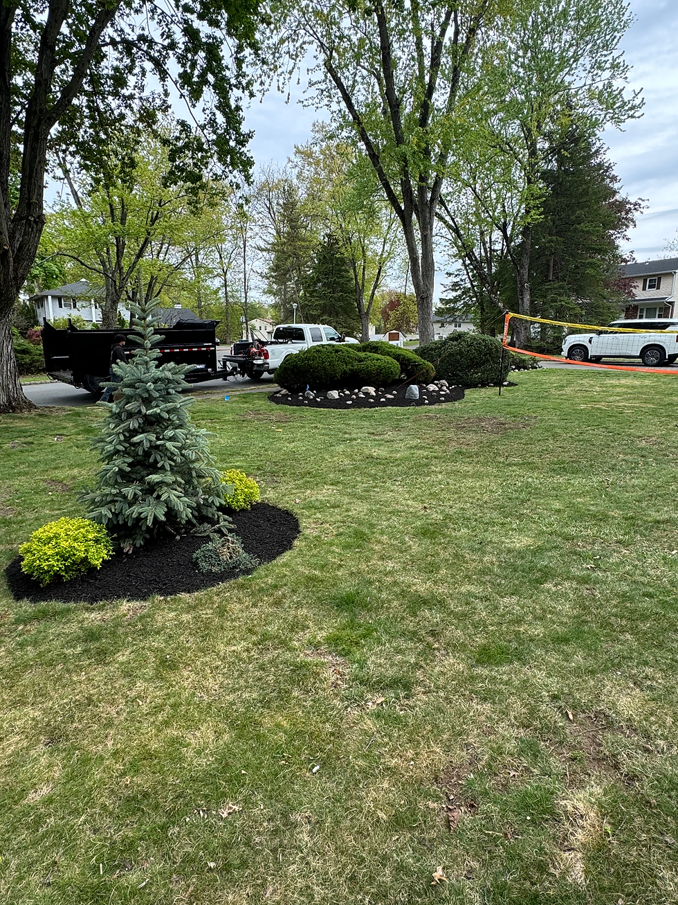 MLM Landscaping and Lawn Care6.HEIC