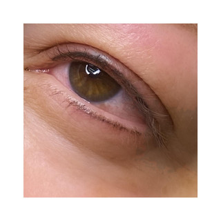 Orchids Permanent Makeup Studio Budd Lake00009.jpeg