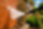 AdobeStock_1545880700.jpeg