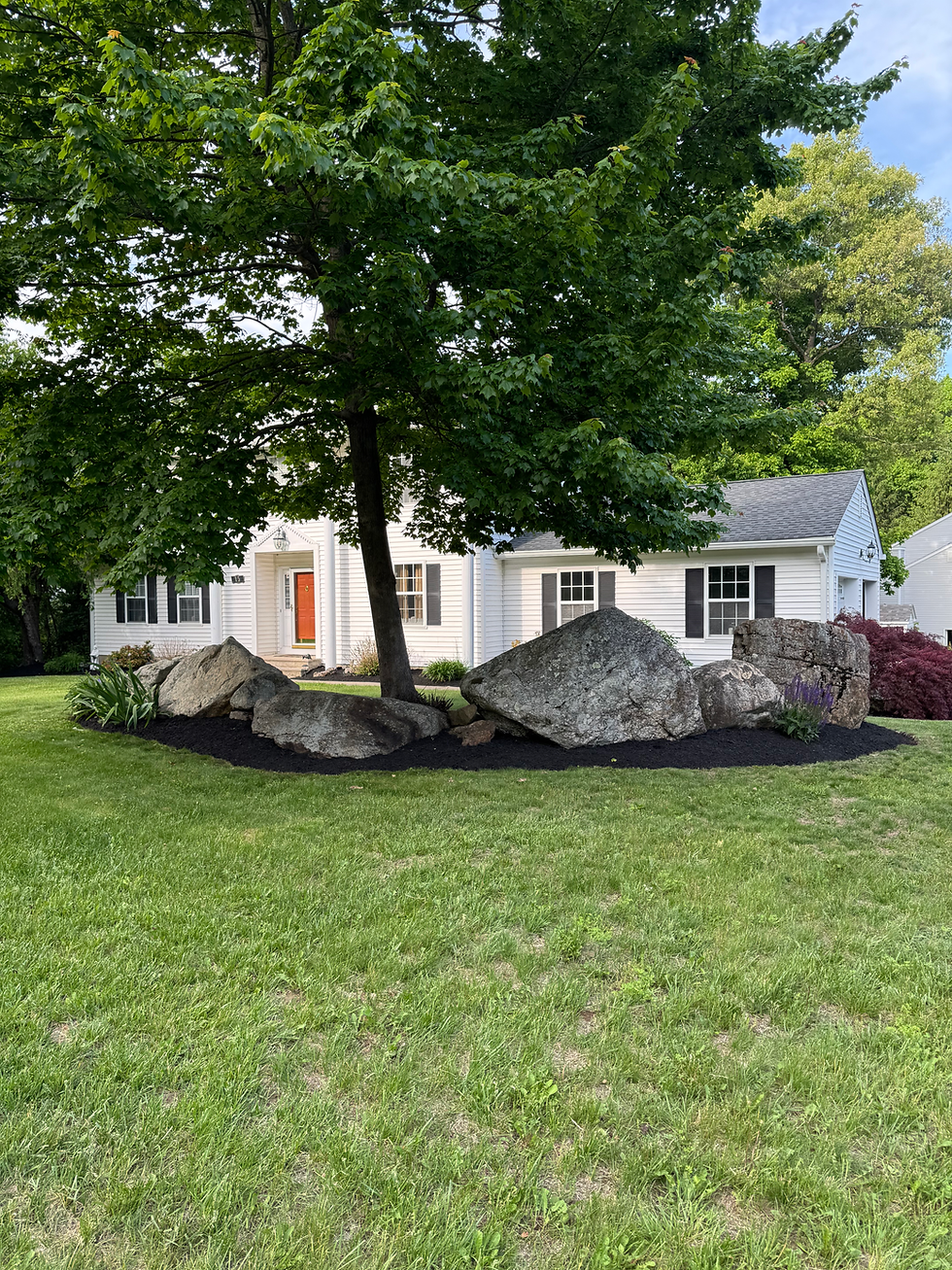 MLM Landscaping and Lawn Care39.HEIC