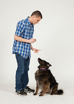 Mark K9 College Dog Trainer00007.jpg