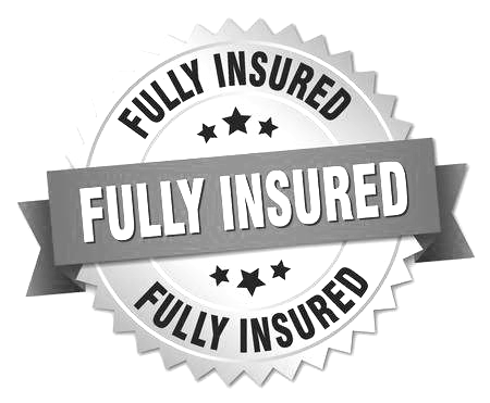 77773740-stock-vector-fully-insured-round-isolated-gold-badge_edited.png