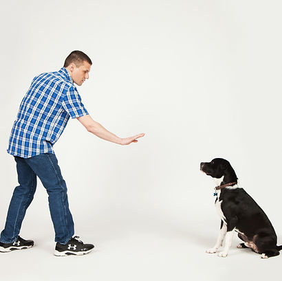 Mark K9 College Dog Trainer00002.jpg