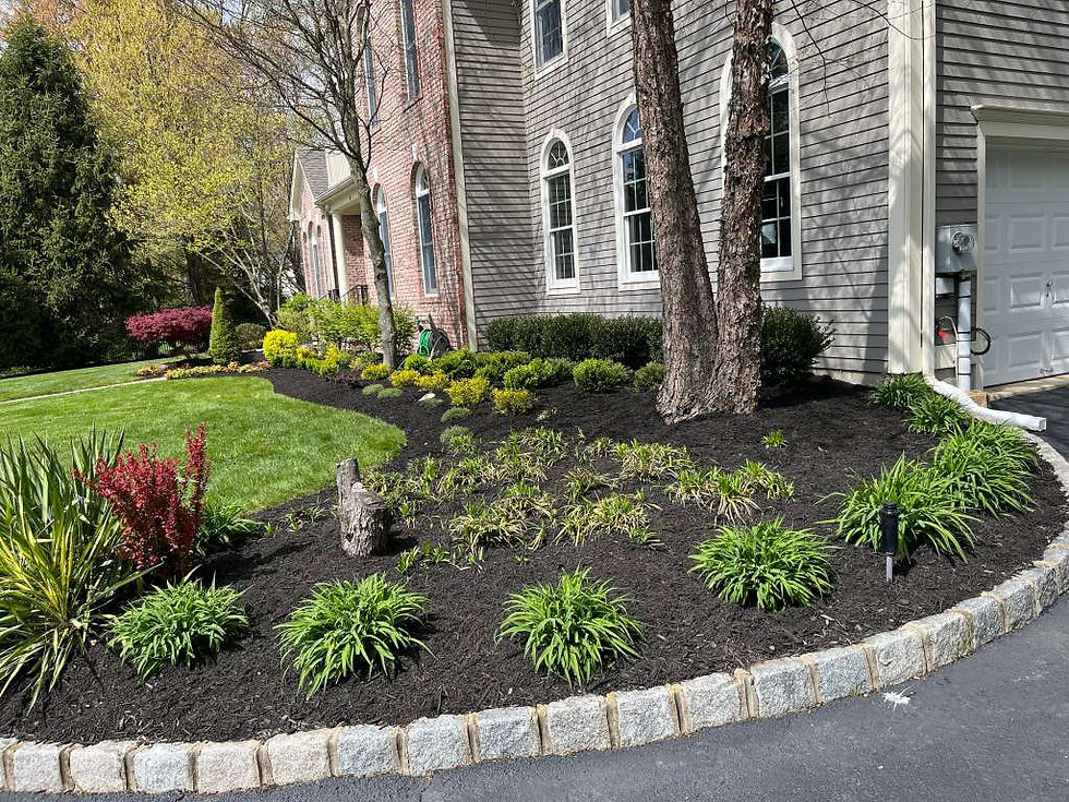Five Stars Landscaping75.jpeg
