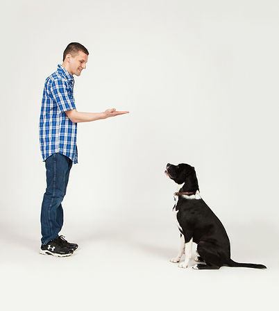 Mark K9 College Dog Trainer00003.jpg