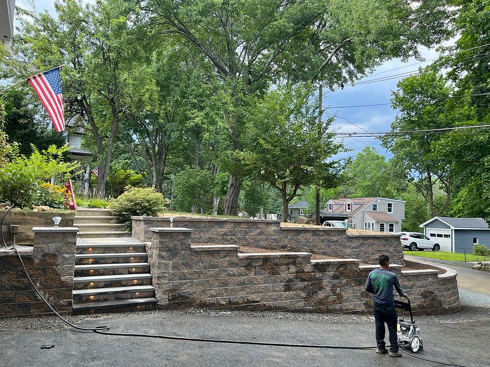 Save Big with Cost-Effective Landscaping Ideas