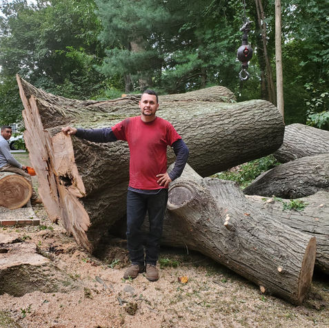 A&T Tree Services 3.jpg