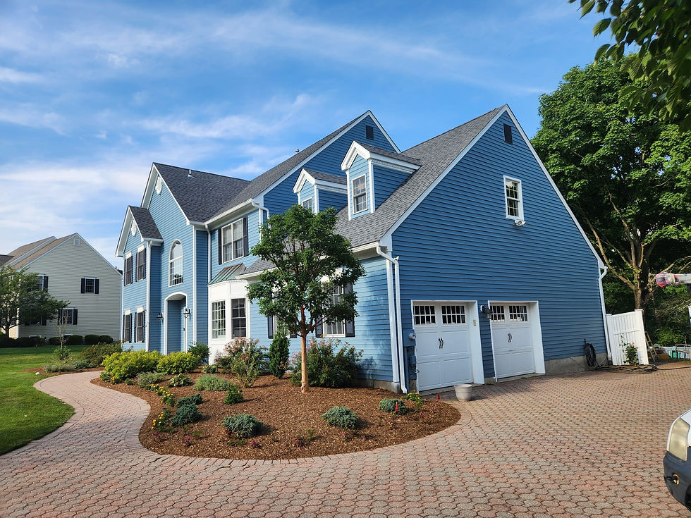 Frank's Deluxe Painting28_edited.jpg