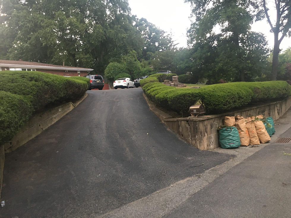 Five Stars Landscaping22.jpeg